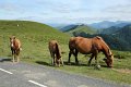 (199) Col d'Aphanize